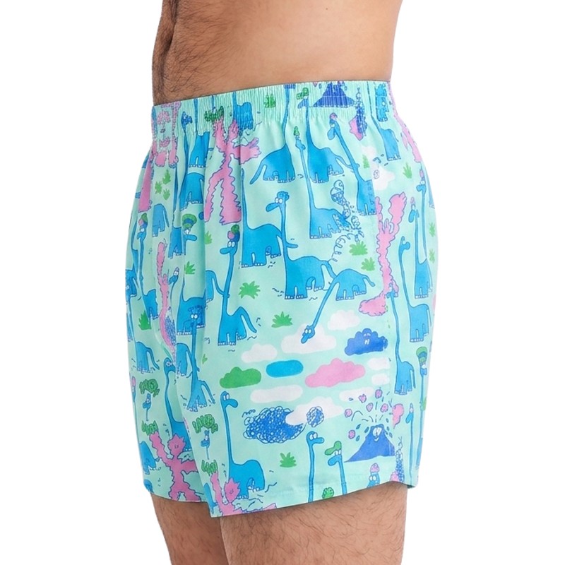 Lousy_Livin_Boxershorts_Türkis_Dino