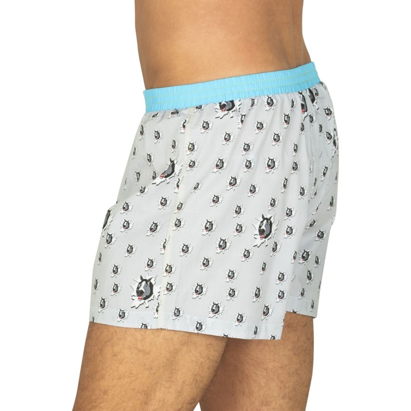 Unabux_Boxershorts_Grau_mit_Motiv