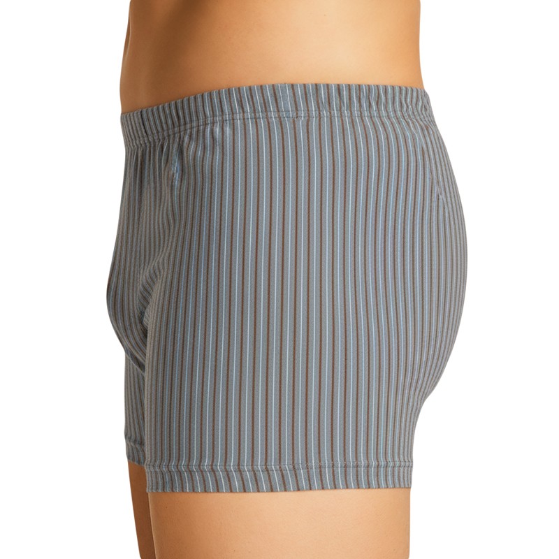 Schiesser_2-erSet_Trunks_Dunkelblau_Grau_Braun_gestreift