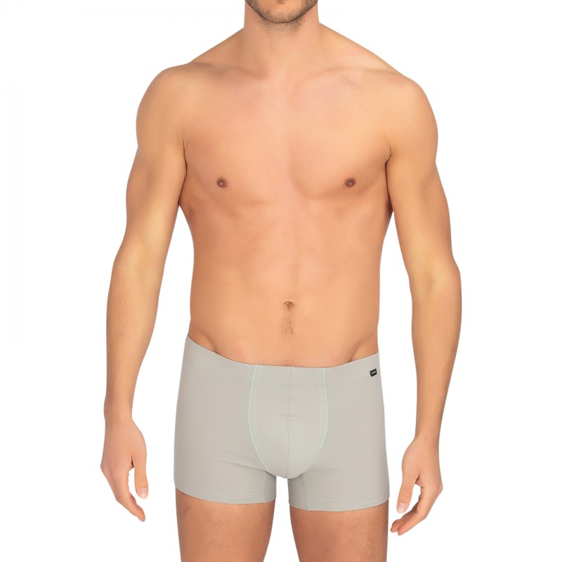 Hanro_2-erSet_Trunks_Grau&Blau