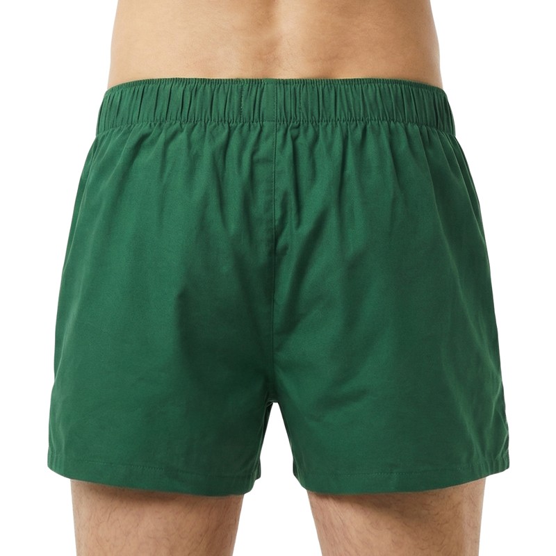 Lacoste_Boxershorts_Grün_Weiß_gestreift