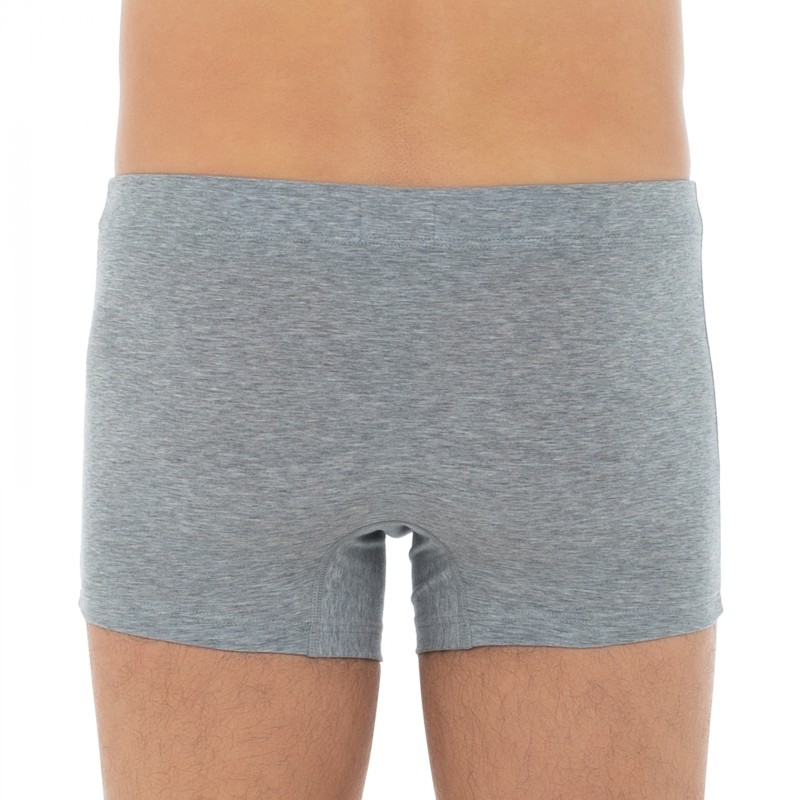 Hanro_2-erSet_Trunks_Blau&Grau