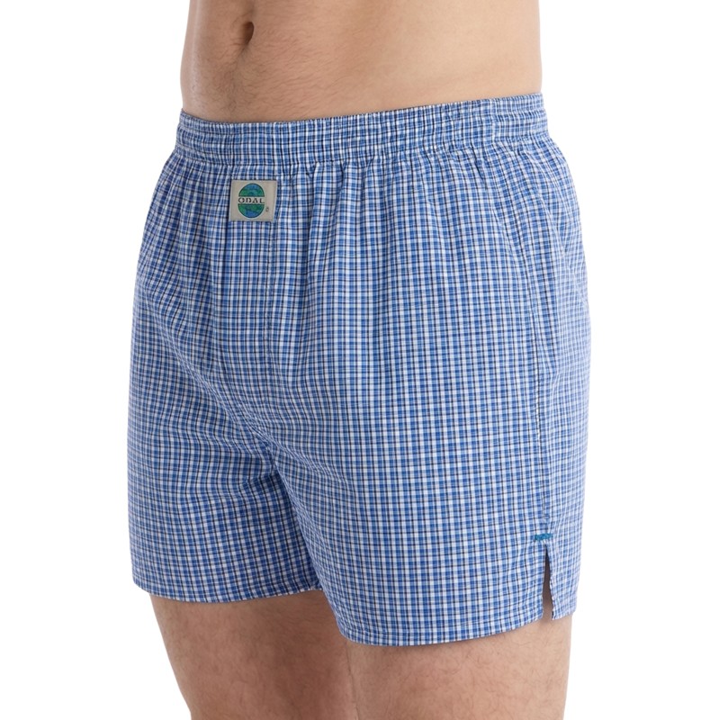 DEAL_Boxershorts_Blau_Weiss_kariert