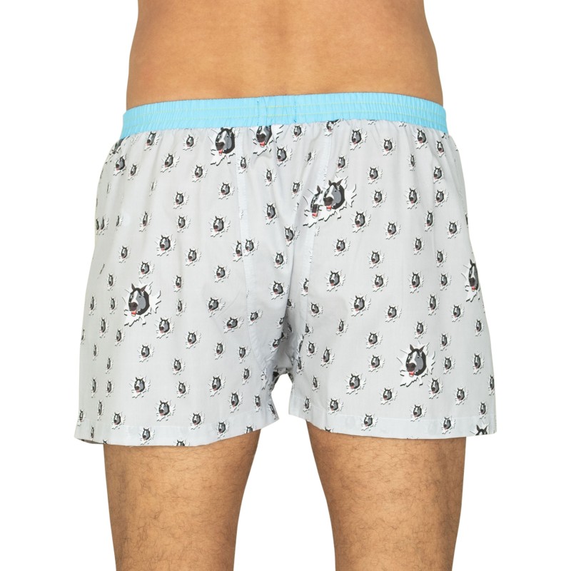 Unabux_Boxershorts_Grau_mit_Motiv