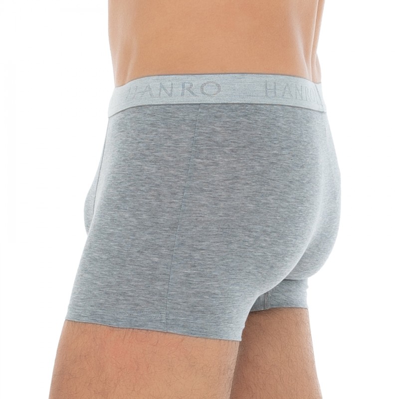 Hanro_2-erSet_Trunks_Blau&Grau