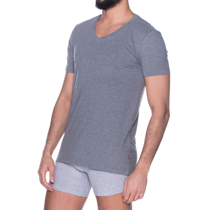 Levi's_2-er Set_T-Shirt_V-Ausschnitt_Grau