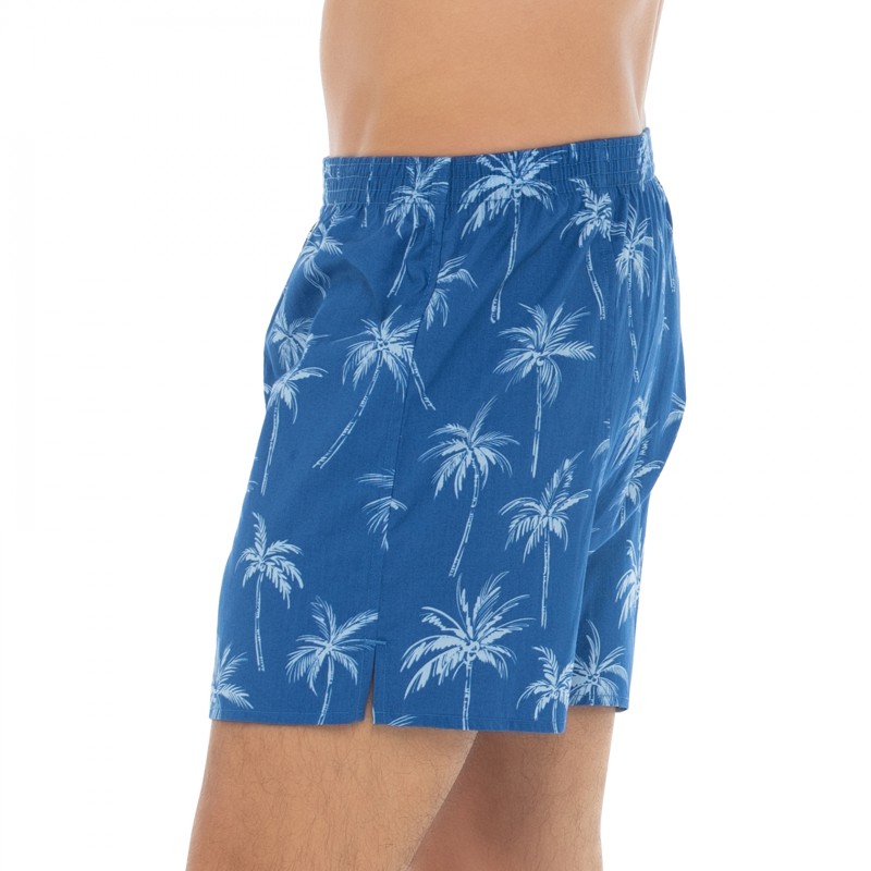 D.E.A.LInternational_Boxershorts_Blau_mitAll-OverPrint