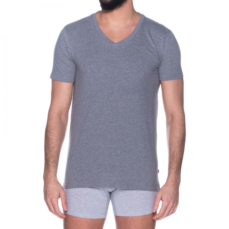 Levi's_2-er Set_T-Shirt_V-Ausschnitt_Grau