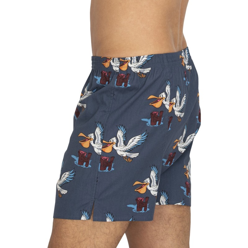 D.E.A.LInternational_Boxershorts_Blau_mitMotiv