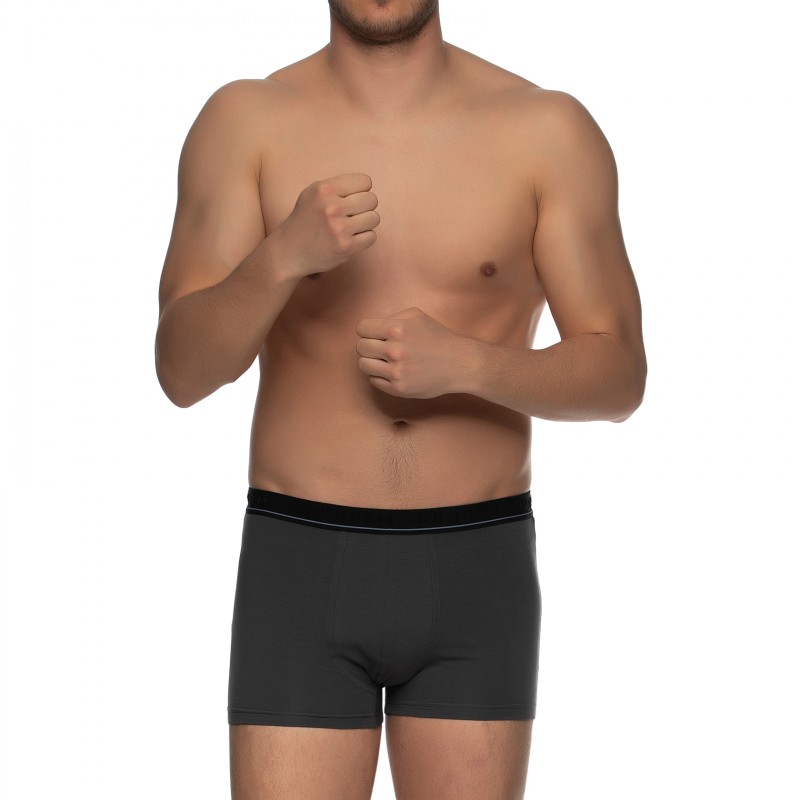 Boxerman_Herrenunterwäsche_Boxershorts_Bugatti_2-er Set_Trunks_Blau Grau