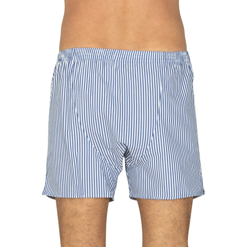 D.E.A.L International Boxershorts Weiß & Blau gestreift