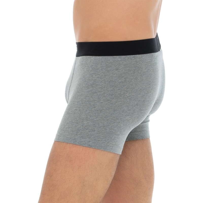 Levi's_2-erSet_BoxerBriefs_Grau