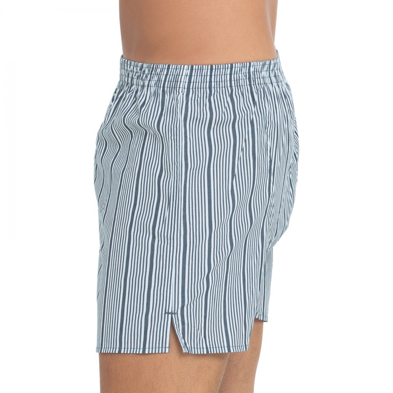 D.E.A.L_International_Boxershorts_Weiß&Blau-Grau_gestreift