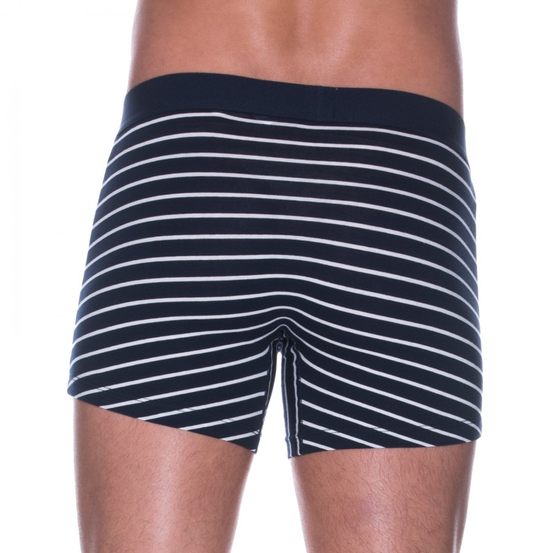 Levi's_2-er Set_Boxer Briefs_Dunkelblau_Gestreift