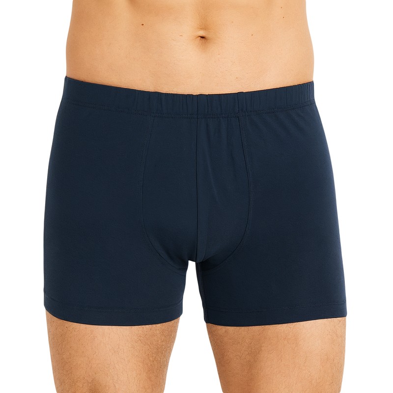 Schiesser_2-erSet_Trunks_Dunkelblau_Grau_Braun_gestreift