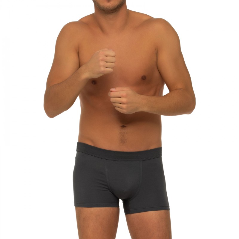 Boxerman_Herrenunterwäsche_Boxershorts_Seidensticker_3-er Set_Trunks_Grau Schwarz & Gestreift