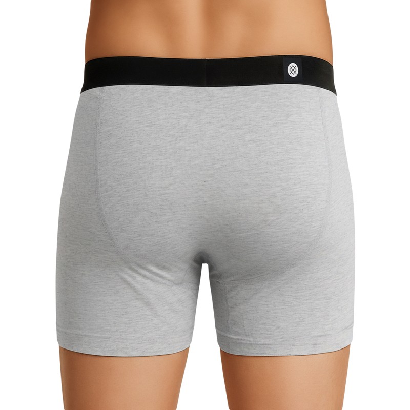 Boxerman_Stance_2-erSet_Trunks_Grau