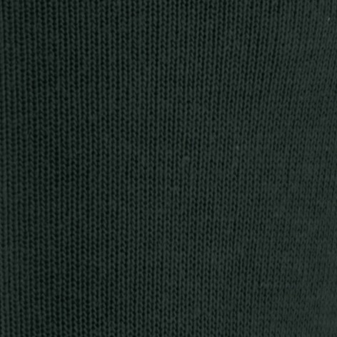 Boxerman_Strümpfe_Herrensocken_Falke_Socken_Family_Dunkelgrün