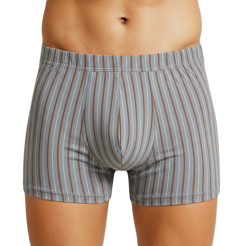 Schiesser_2-erSet_Trunks_Dunkelblau_Grau_Braun_gestreift