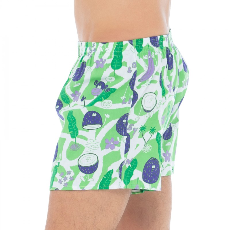 LousyLivin_2-erSet_Boxershorts_Grün&Lila_mitMotiv