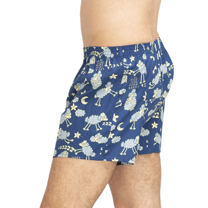 LousyLivin_Boxershorts_Blau_mitMotiv