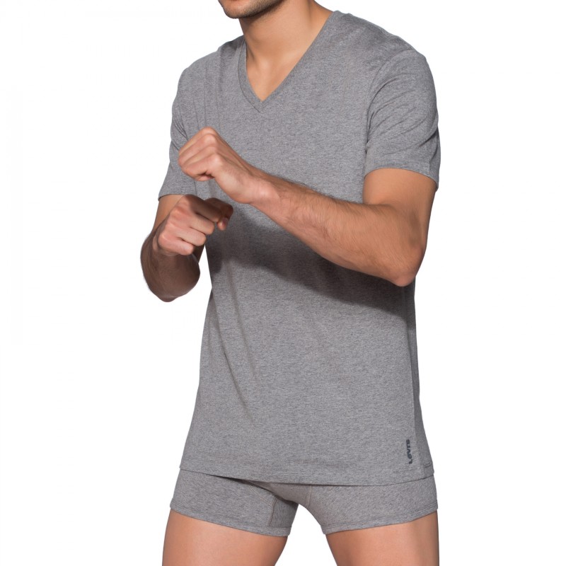 Levis V-Neck T-Shirts grau