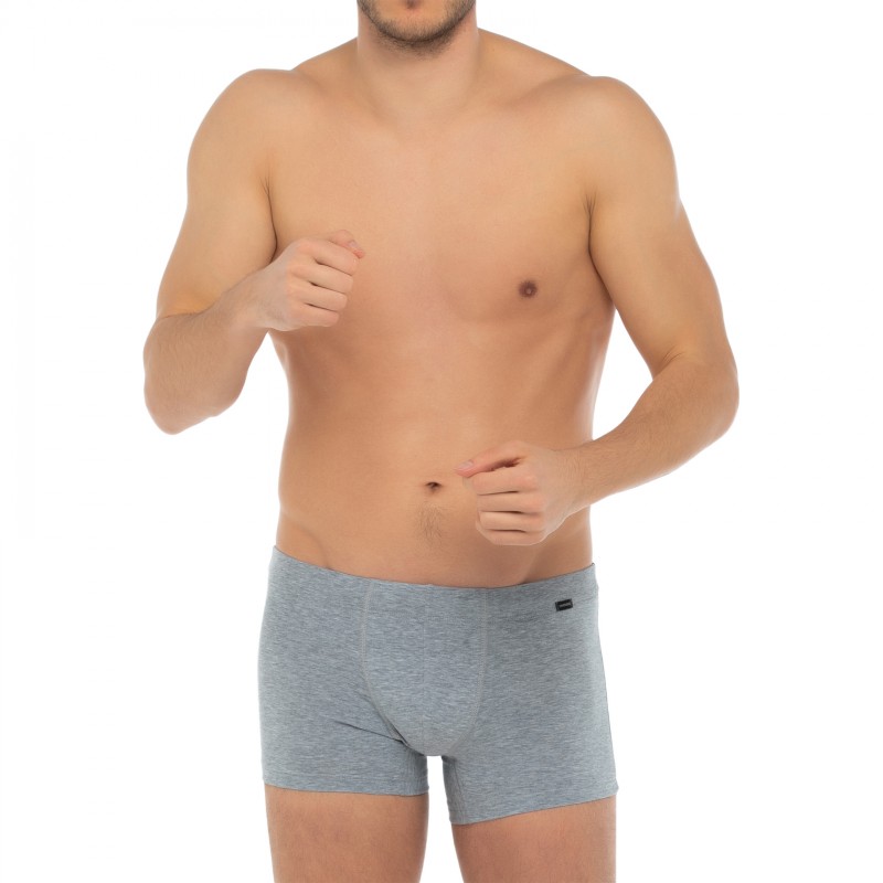 Hanro_2-erSet_Trunks_Blau&Grau