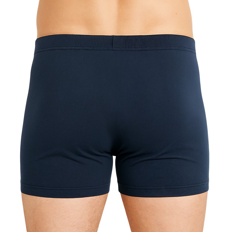 Schiesser_2-erSet_Trunks_Dunkelblau_Grau_Braun_gestreift