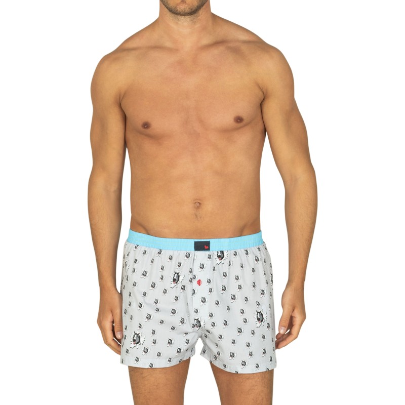 Unabux_Boxershorts_Grau_mit_Motiv