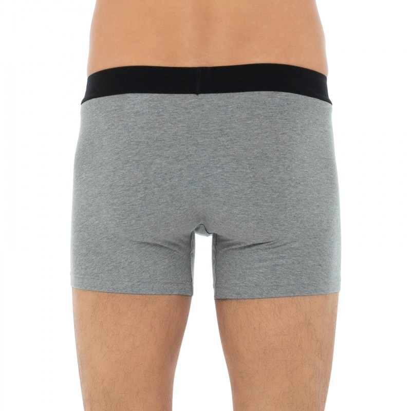 Levi's_2-erSet_BoxerBriefs_Grau