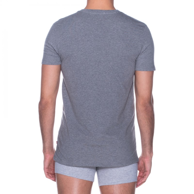 Levi's_2-er Set_T-Shirt_V-Ausschnitt_Grau