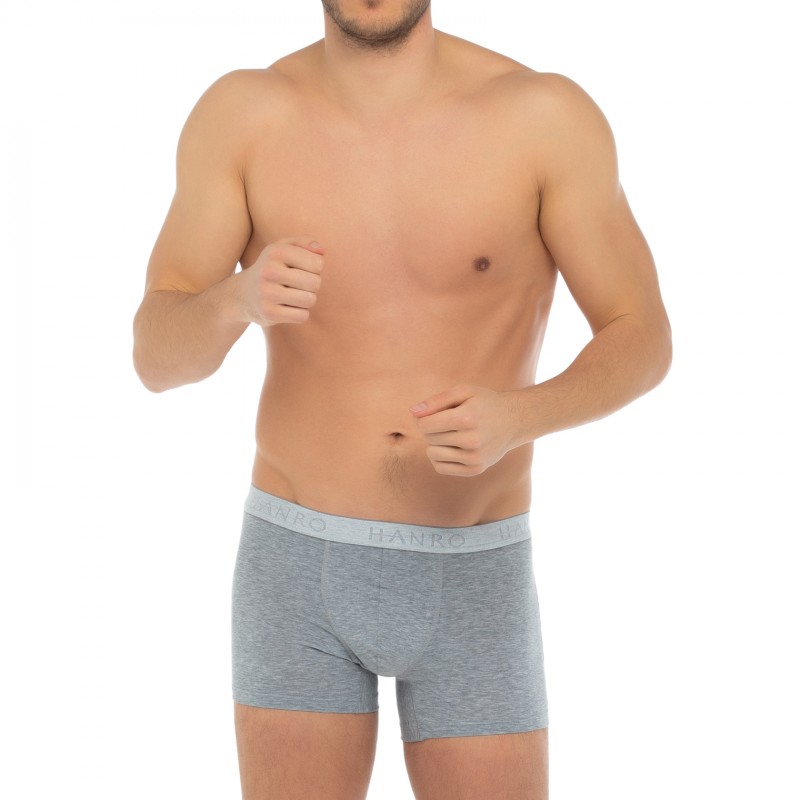 Hanro_2-erSet_Trunks_Blau&Grau