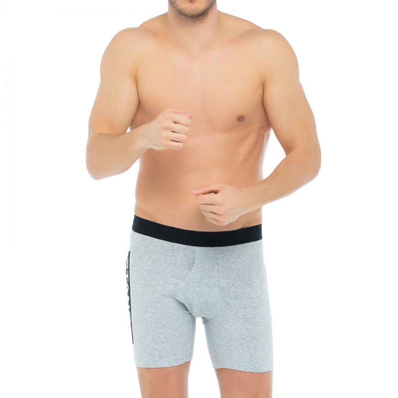 Stance_BoxerBrief_Grau