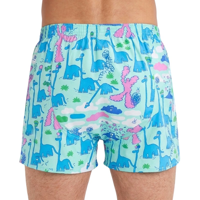 Lousy_Livin_Boxershorts_Türkis_Dino