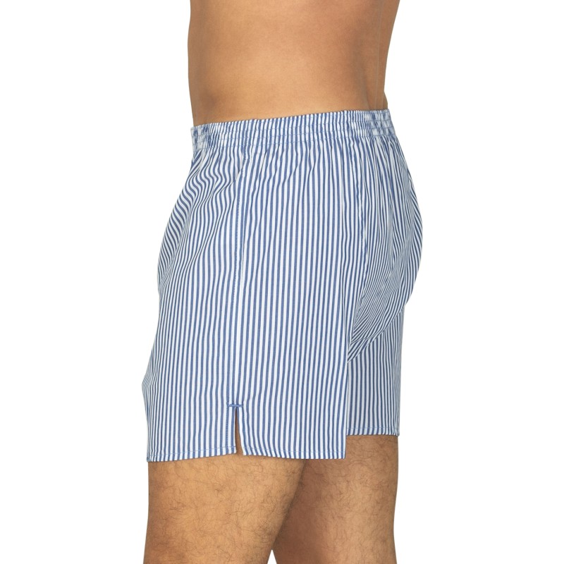 D.E.A.L International Boxershorts Weiß & Blau gestreift
