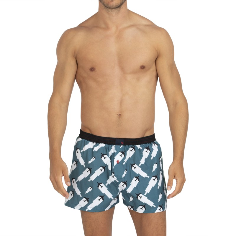 Unabux_Boxershorts_Blau&Weiß_mitMotiv