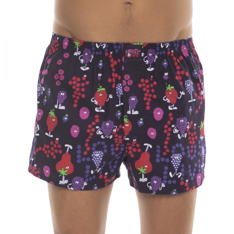 LousyLivin_2-erSet_Boxershorts_Blau&Lila_mitMotiv