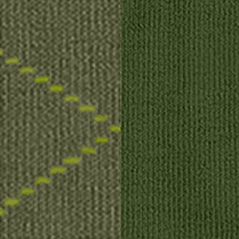 Burlington_2erSet_Socke_Grün