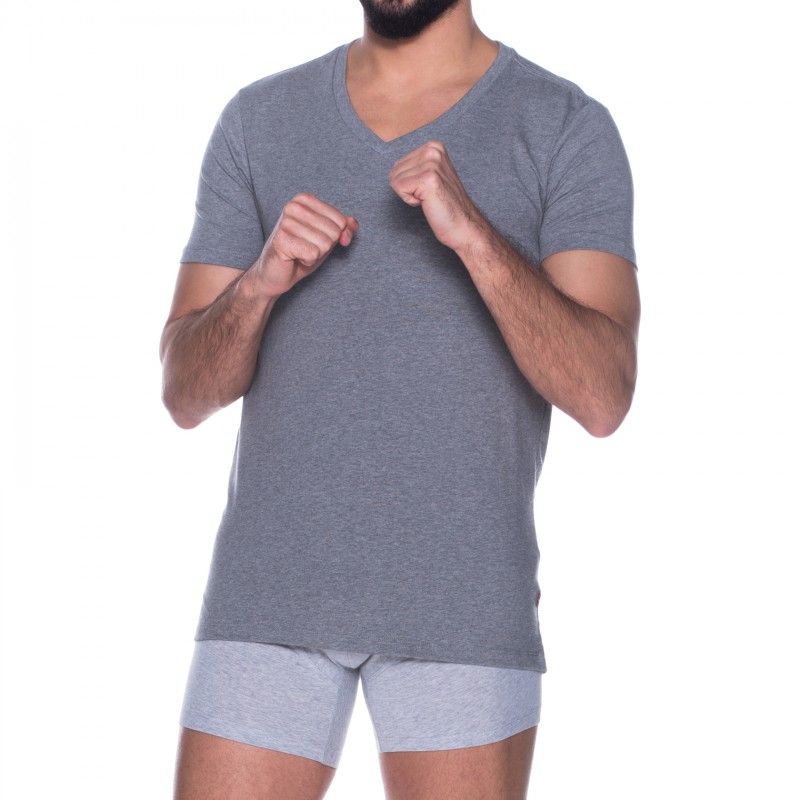 Levi's_2-er Set_T-Shirt_V-Ausschnitt_Grau