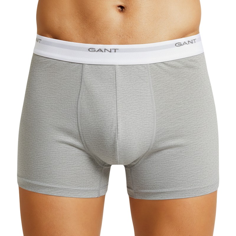 GANT_Trunks_Hellgrau
